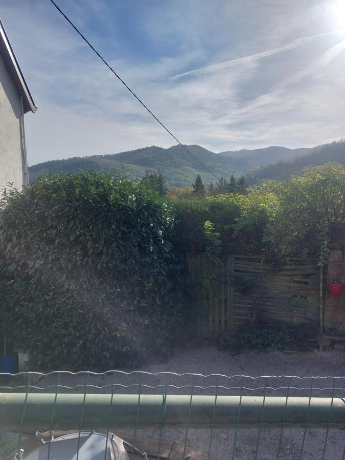 Chez Nadine Apartment Ranspach ภายนอก รูปภาพ